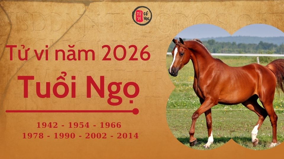 Tử vi 2026 tuổi Ngọ sơ lược | Tử Vi Cổ Học
