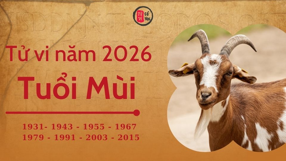 Tử vi 2026 tuổi Mùi sơ lược | Tử Vi Cổ Học