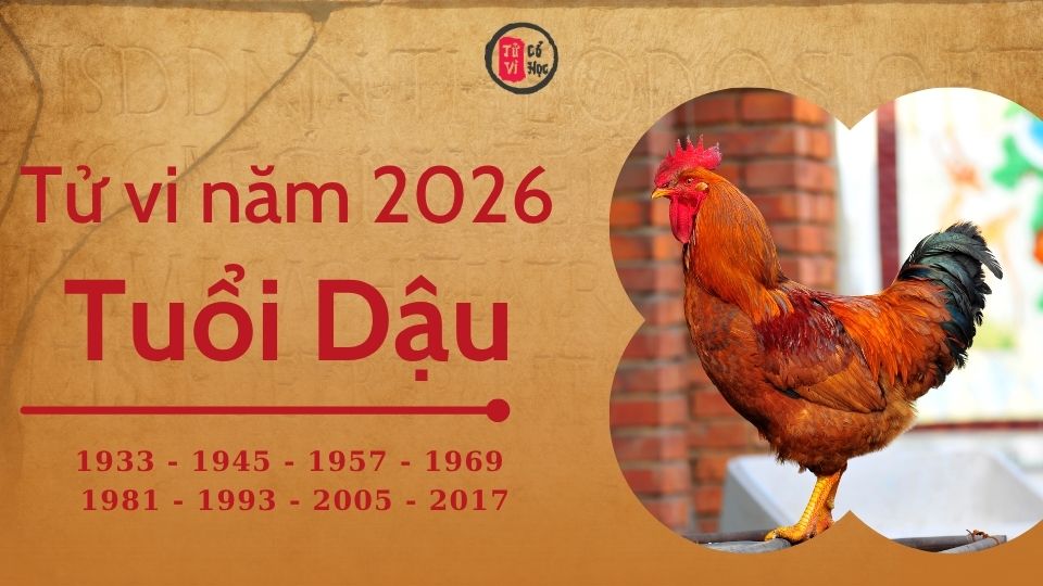 Tử vi 2026 tuổi Dậu sơ lược | Tử Vi Cổ Học