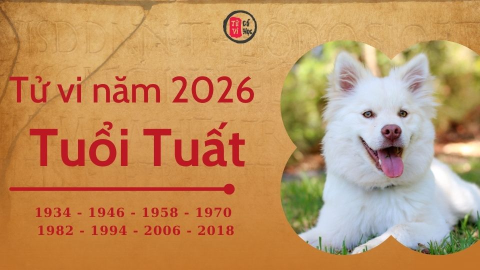 Tử vi 2026 tuổi Tuất sơ lược | Tử Vi Cổ Học