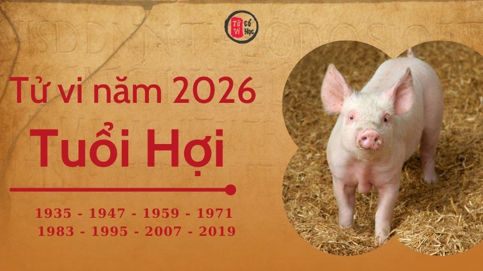 Tử vi 2026 tuổi Hợi sơ lược | Tử Vi Cổ Học