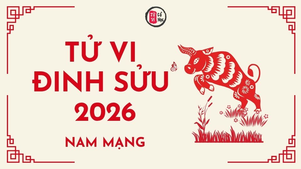 Tử vi 2026 tuổi Đinh Sửu nam mạng | Tử Vi Cổ Học