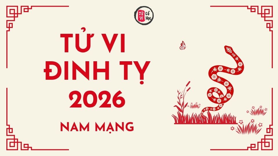 Tử vi 2026 tuổi Đinh Tỵ nam mạng | Tử Vi Cổ Học