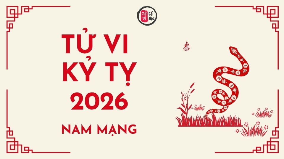 Tử vi 2026 tuổi Kỷ Tỵ nam mạng | Tử Vi Cổ Học