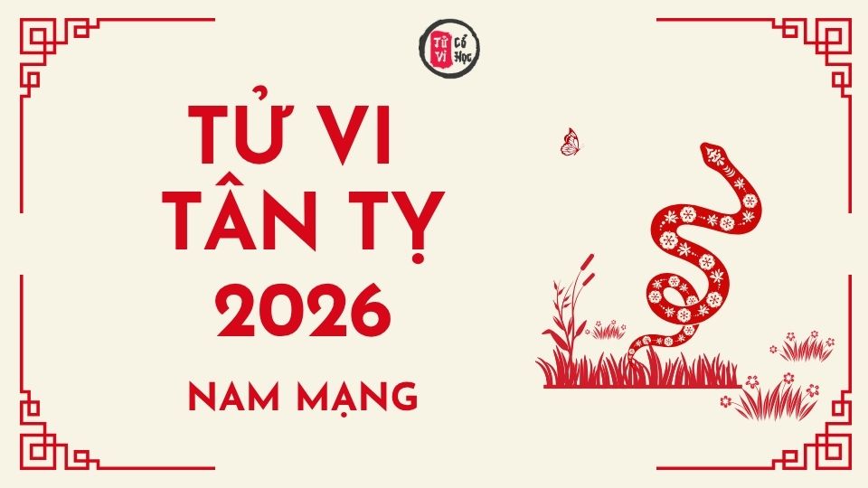Tử vi 2026 tuổi Tân Tỵ nam mạng | Tử Vi Cổ Học