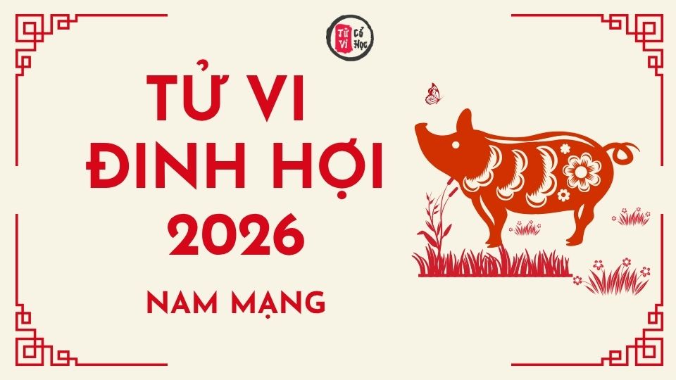 Tử vi 2026 tuổi Đinh Hợi nam mạng | Tử Vi Cổ Học