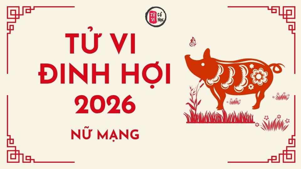 Tử vi 2026 tuổi Đinh Hợi nữ mạng | Tử Vi Cổ Học