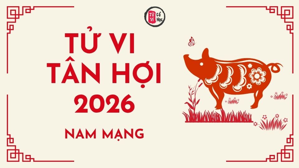 Tử vi 2026 tuổi Tân Hợi nam mạng | Tử Vi Cổ Học