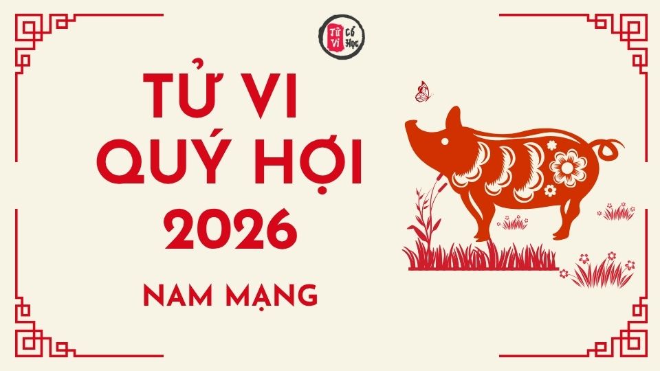 Tử vi 2026 tuổi Quý Hợi nam mạng | Tử Vi Cổ Học