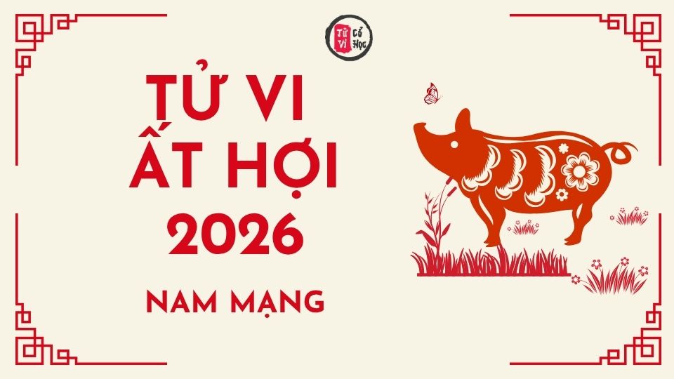 Tử vi 2026 tuổi Ất Hợi nam mạng | Tử Vi Cổ Học