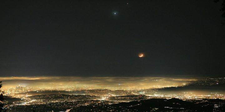 Người mệnh Mộc hợp với mệnh gì, khắc mệnh gì? | Tử Vi Cổ Học