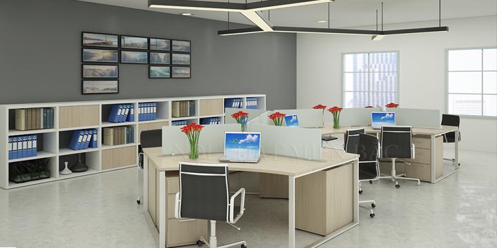 Các loại cây xanh phong thủy văn phòng tăng tài lộc thịnh vượng | Tử Vi Cổ Học