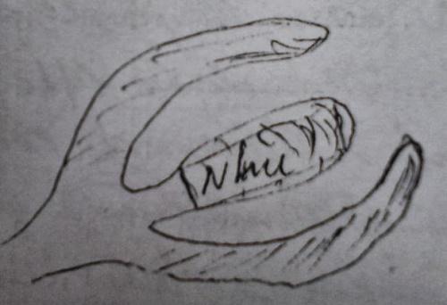 Đôi điều về huyệt nhũ | Tử Vi Cổ Học