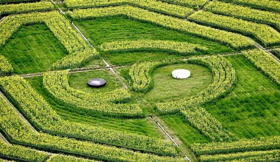 Dịch lý và lý dịch | Tử Vi Cổ Học