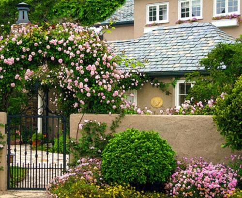 Những cấm kị phong thủy khi bố trí sân vườn | Tử Vi Cổ Học