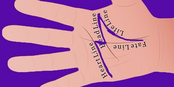 Sở hữu bàn tay “chữ M”, bạn sẽ vô cùng giàu có, sự nghiệp thăng hoa | Tử Vi Cổ Học