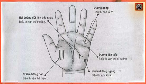 Xem bói, các đường chỉ trong lòng bàn tay | Tử Vi Cổ Học