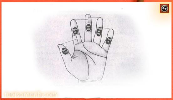 Mối liên hệ giữa ngón tay và tính cách | Tử Vi Cổ Học