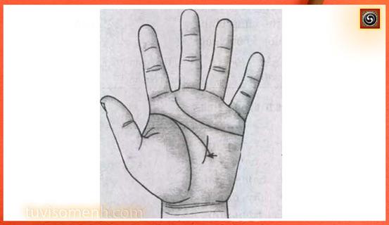 Xem bói tay, ý nghĩa các đốt ngón tay | Tử Vi Cổ Học