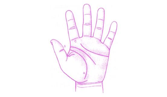 Tướng tay giúp bạn lựa chọn đúng nghành nghề | Tử Vi Cổ Học