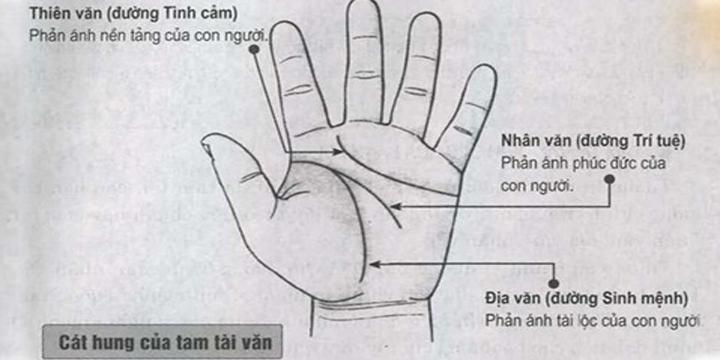 Những đường chỉ tay cơ bản và đường chỉ tay hiếm | Tử Vi Cổ Học