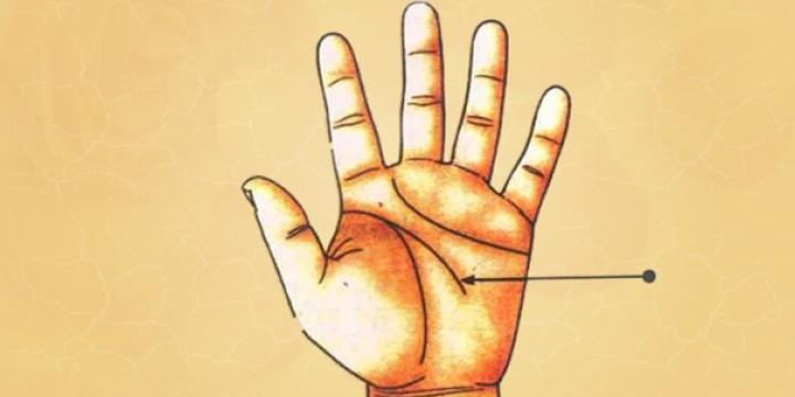 Xem chỉ tay đường công danh, sự nghiệp | Tử Vi Cổ Học