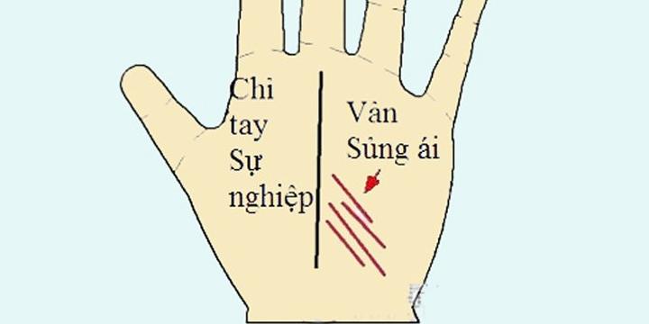 Xem đường vân tay Sủng ái | Tử Vi Cổ Học