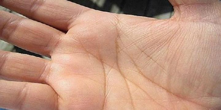 Bàn tay chữ M có ý nghĩa gì? | Tử Vi Cổ Học