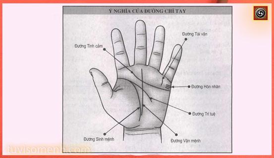 Bạn hiểu rõ đường tình cảm trên bàn tay bạn không? | Tử Vi Cổ Học