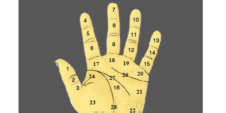 Ý nghĩa nốt ruồi ở lòng bàn tay | Tử Vi Cổ Học