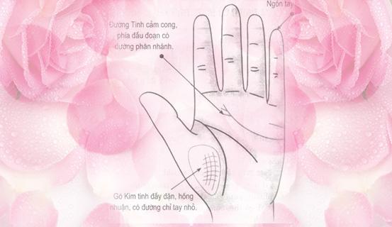 Tướng tay của người có được tình yêu hạnh phúc | Tử Vi Cổ Học