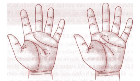 Xem bói tướng tay lựa chọn hôn nhân | Tử Vi Cổ Học