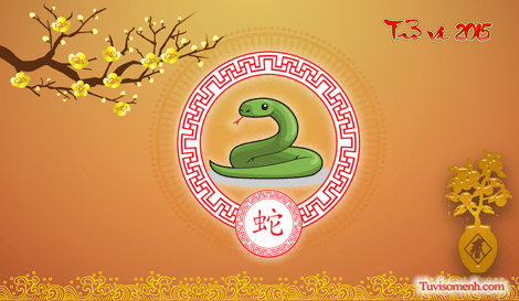 Tình yêu hôn nhân của người tuổi Tỵ với các tuổi khác | Tử Vi Cổ Học