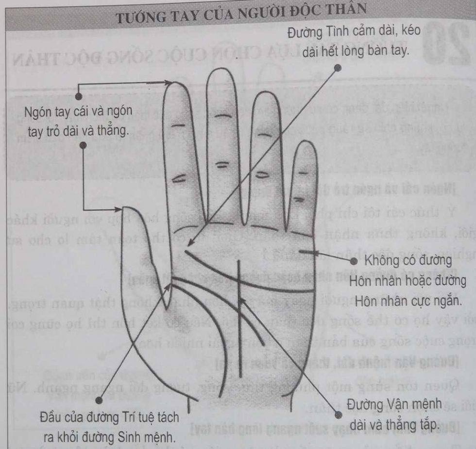 Xem Tướng tay lựa chọn cuộc sống độc thân | Tử Vi Cổ Học
