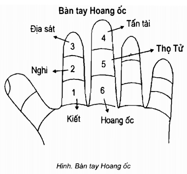 xem tuổi hoang ốc