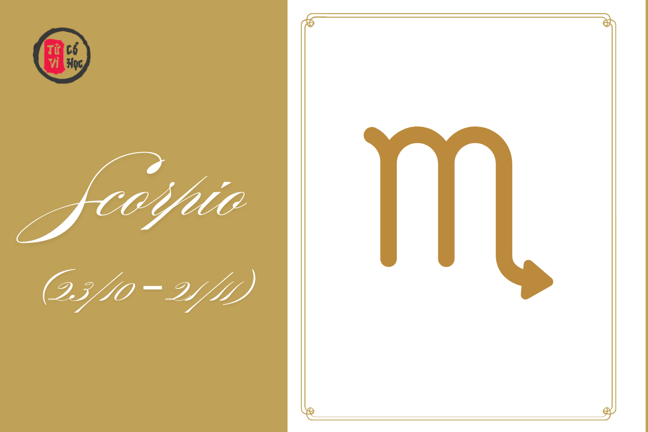 Bọ Cạp sinh ra để bước qua bóng tối – và biến nó thành sức mạnh