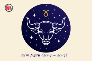 Cung Kim Ngưu – khi sự giản dị và tinh tế trở thành một tuyên ngôn thời thượng