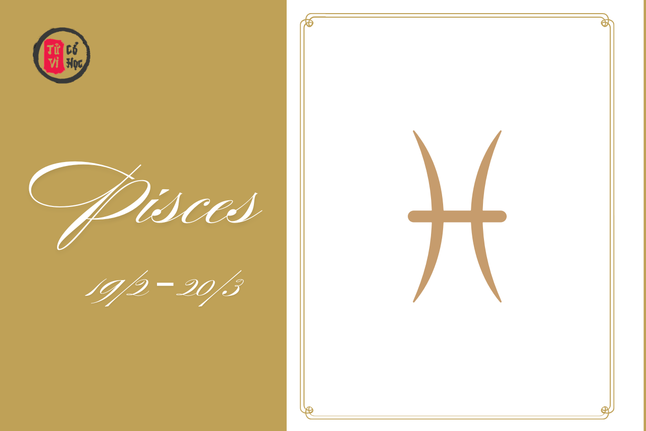 Cung Song Ngư được xem là cung hoàng đạo giàu lòng trắc ẩn, sáng tạo và luôn mang trong mình sự đồng cảm sâu sắc với mọi người xung quanh.