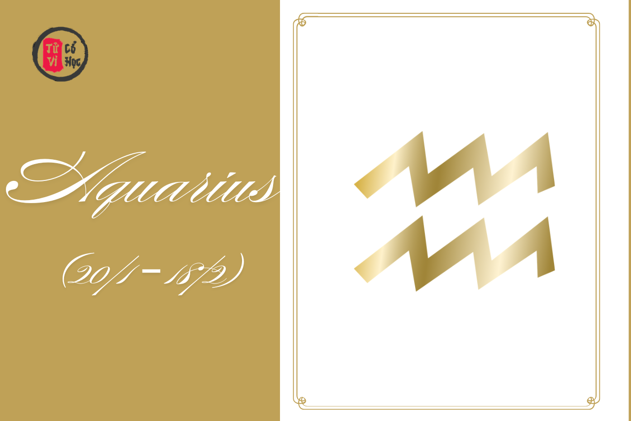 Tự do như gió, sáng tạo như ánh sao – chòm sao Bảo Bình mang theo trí tuệ và sự khác biệt đến mọi nơi họ đến