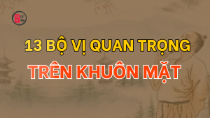 Bạn đã hiểu rõ 13 bộ vị quan trọng trên khuôn mặt chưa?