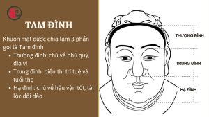 Xem tướng qua 13 bộ vị khuôn mặt