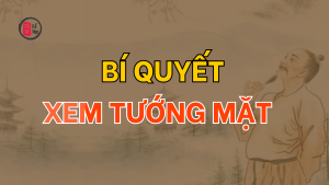 Bí quyết xem tướng mặt – Thấu hình để hiểu tâm