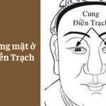 Xem tướng mặt ở Cung Điền Trạch