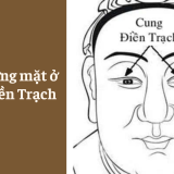 Xem tướng mặt ở Cung Điền trạch - Tử Vi Cổ Học