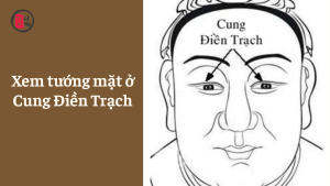Xem tướng mặt ở Cung Điền Trạch