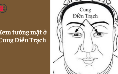 Xem tướng mặt ở Cung Điền Trạch