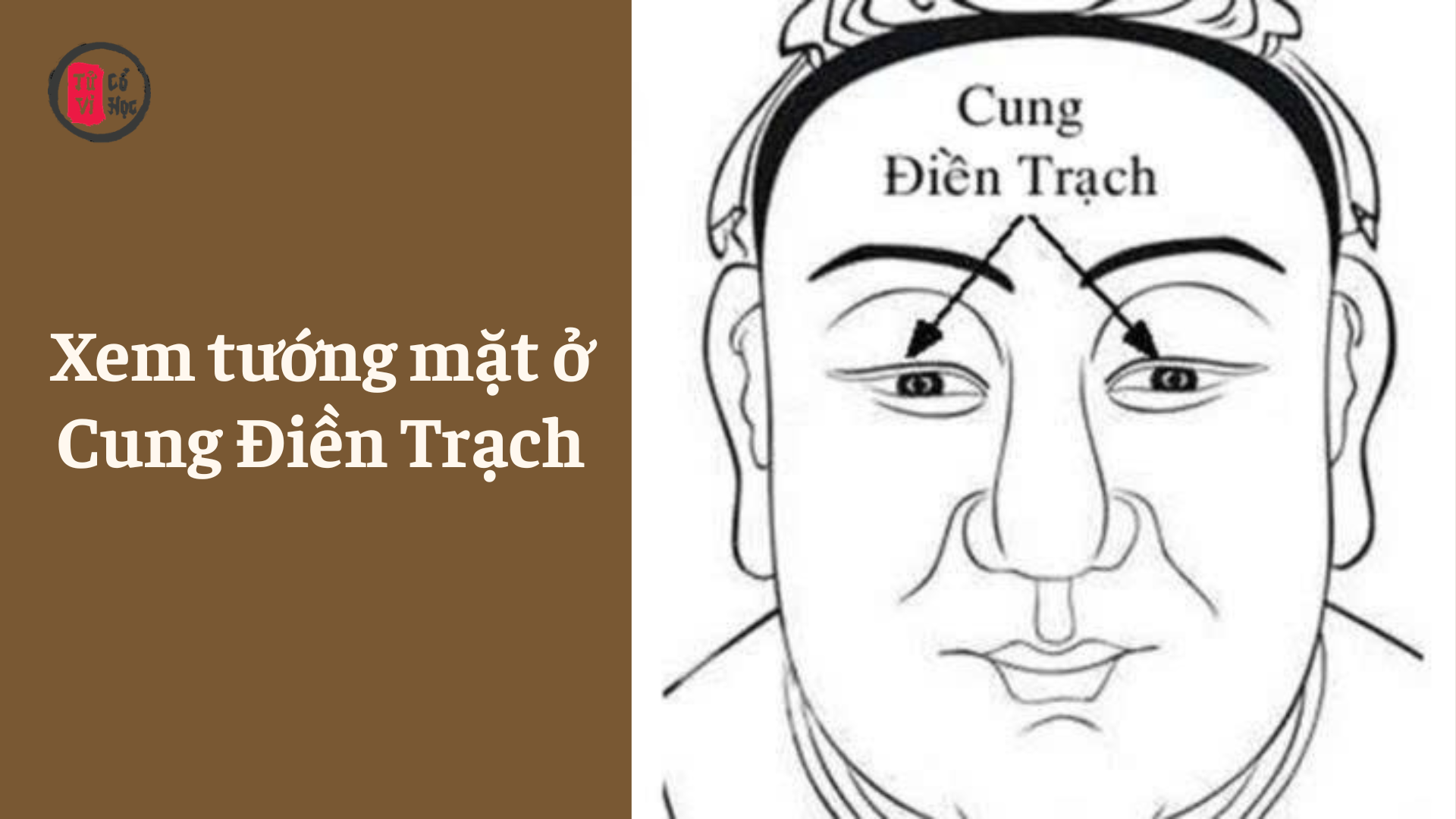 Xem tướng mặt ở Cung Điền trạch - Tử Vi Cổ Học 