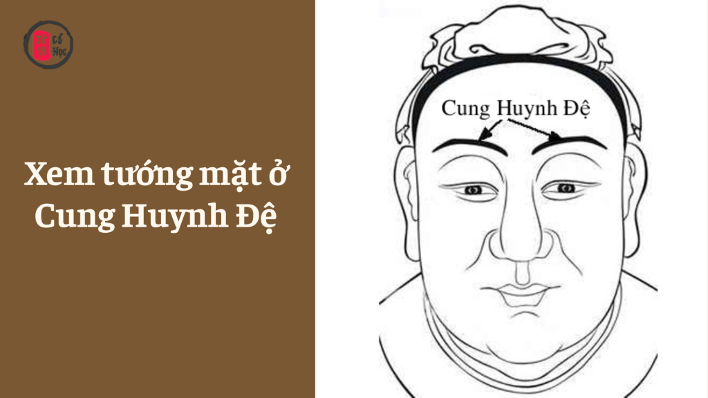 Xem tướng mặt ở Cung Huynh Đệ - Tử Vi Cổ Học