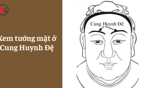 Xem tướng mặt ở Cung Huynh Đệ