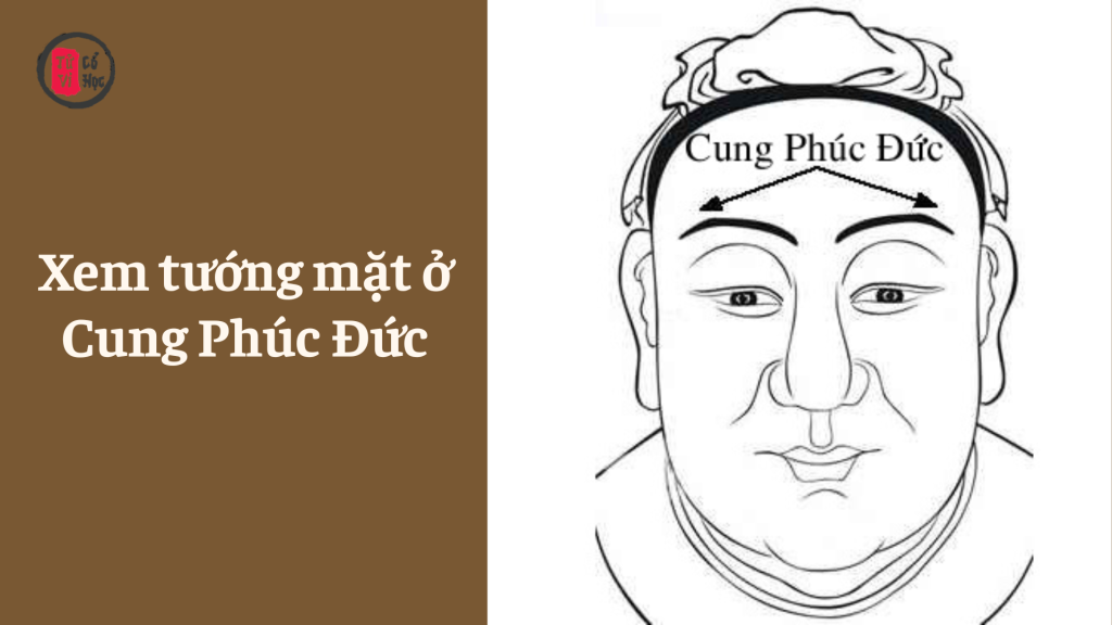 Xem tướng mặt ở Cung Phúc Đức - Tử Vi Cổ Học